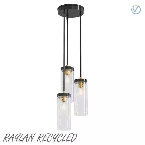 Raylan Recycled 3D model