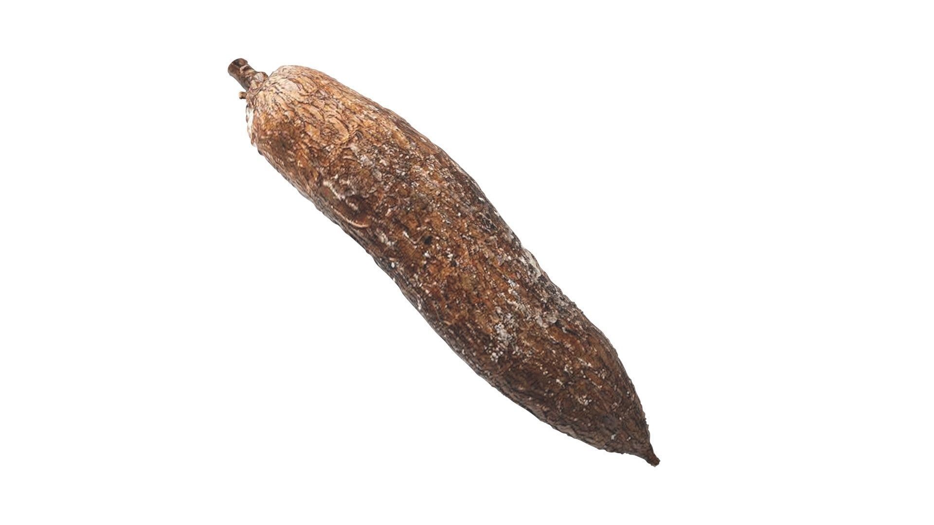 Cassava Manioc 3D model_8
