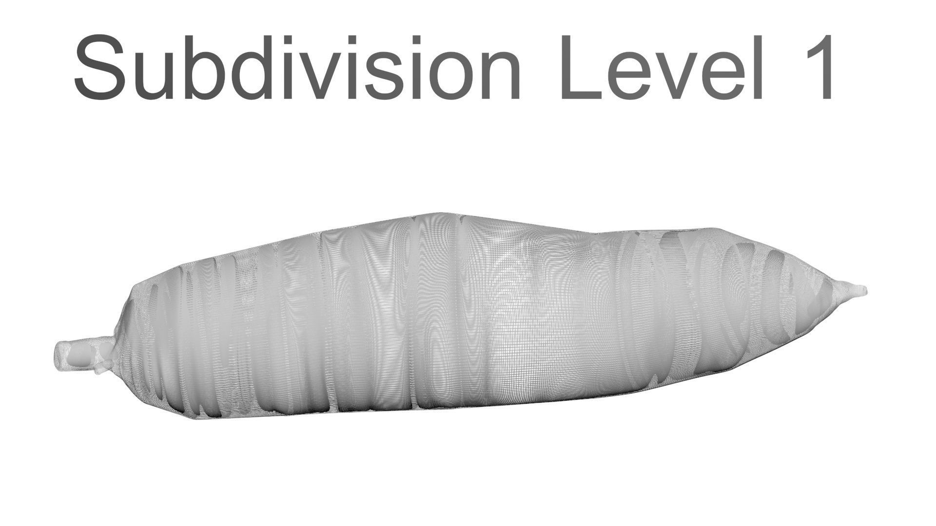 Cassava Manioc 3D model_19