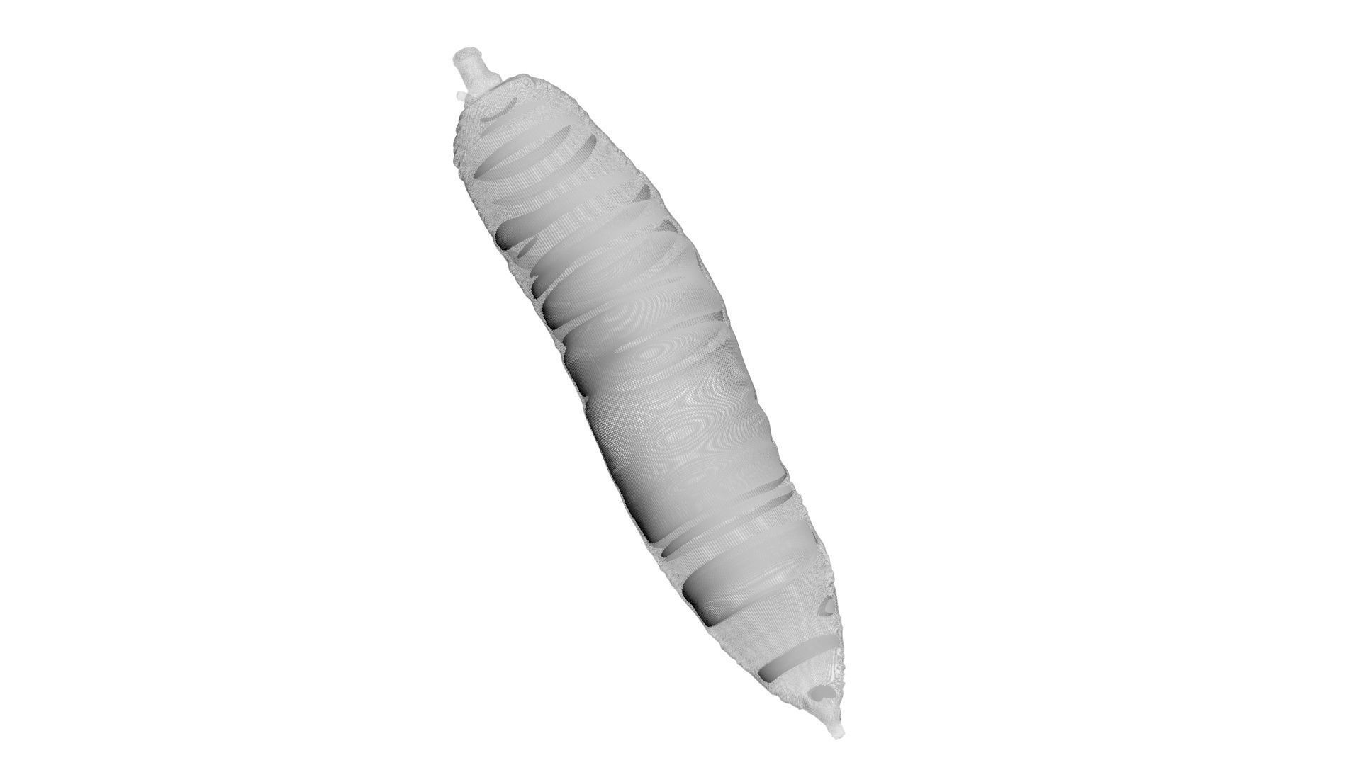 Cassava Manioc 3D model_14