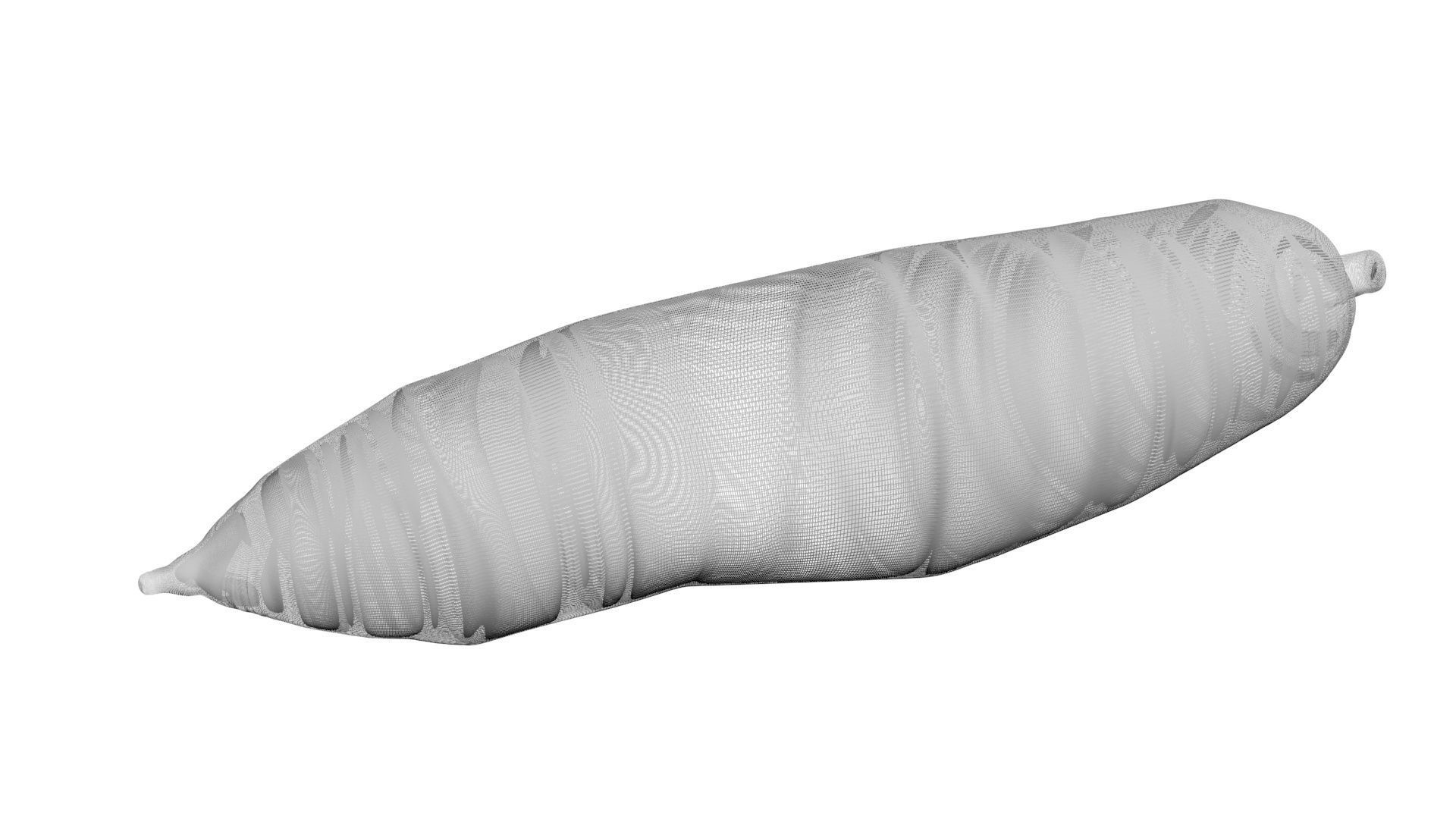 Cassava Manioc 3D model_15