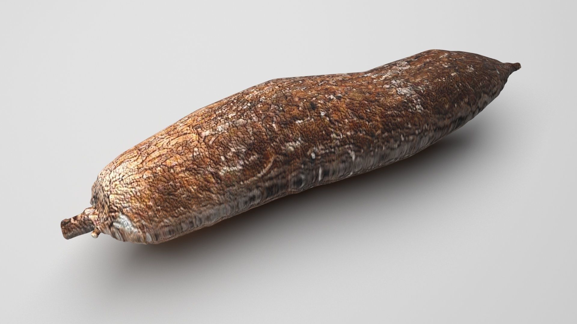 Cassava Manioc 3D model_4
