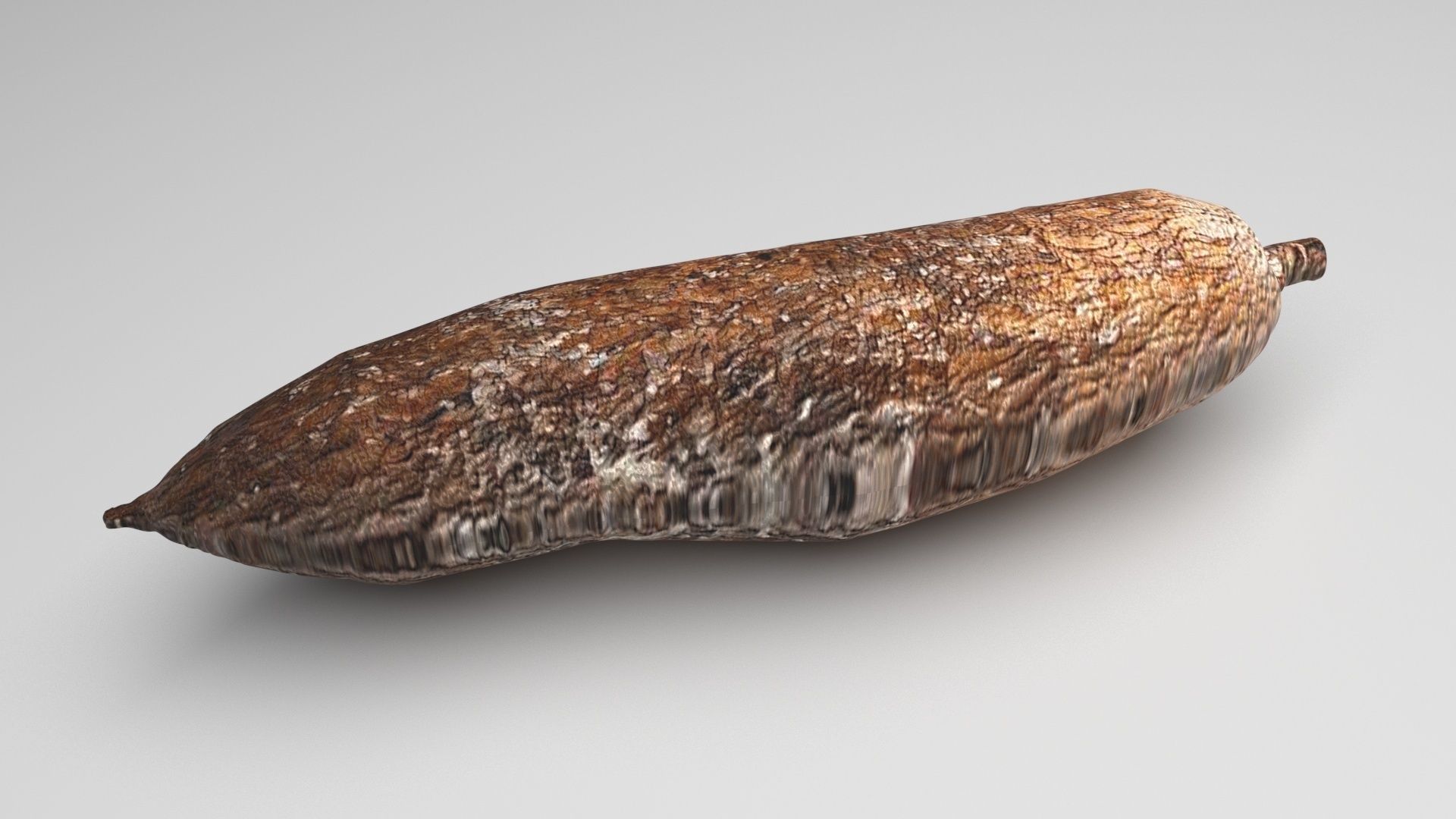 Cassava Manioc 3D model_2
