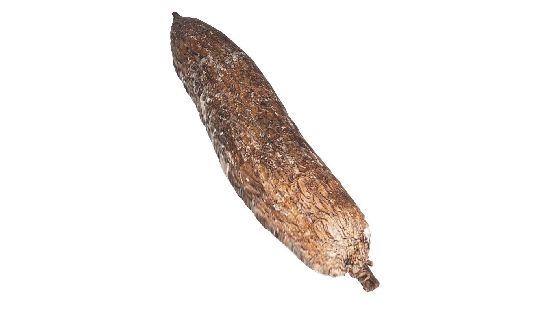 Cassava Manioc 3D model_10