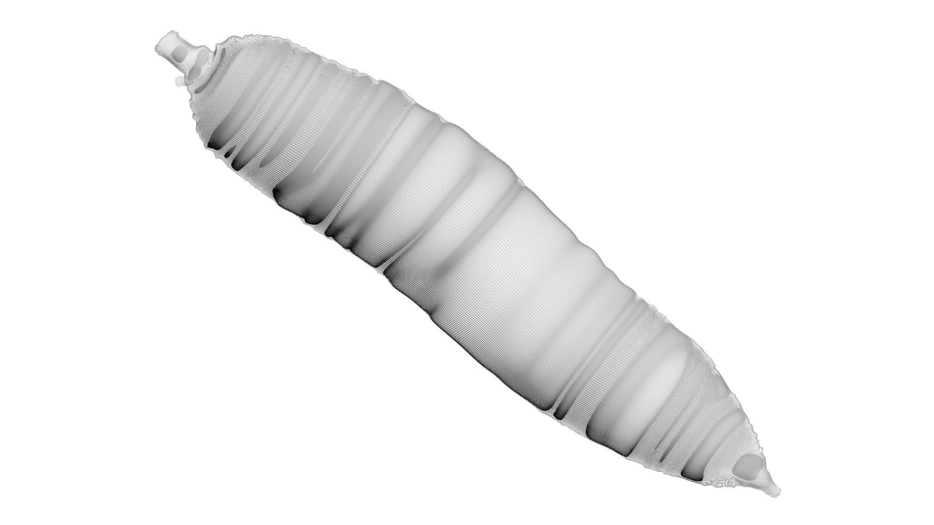 Cassava Manioc 3D model_18
