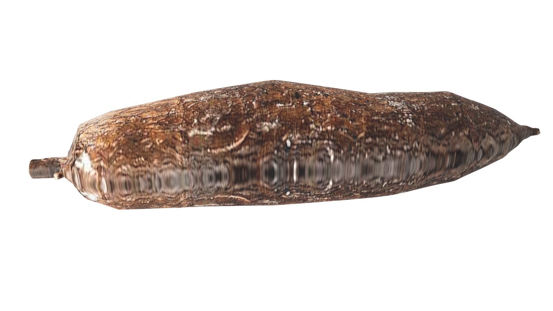 Cassava Manioc 3D model_7