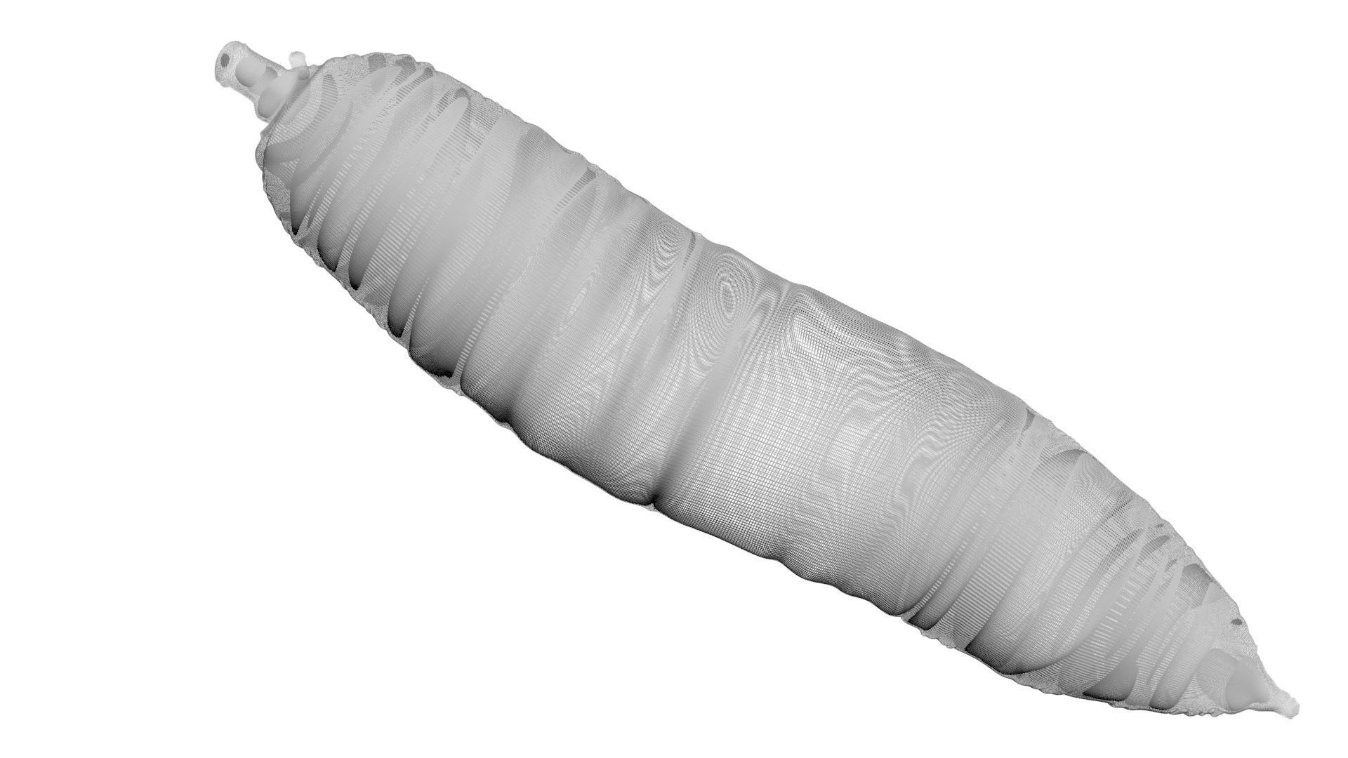 Cassava Manioc 3D model_17