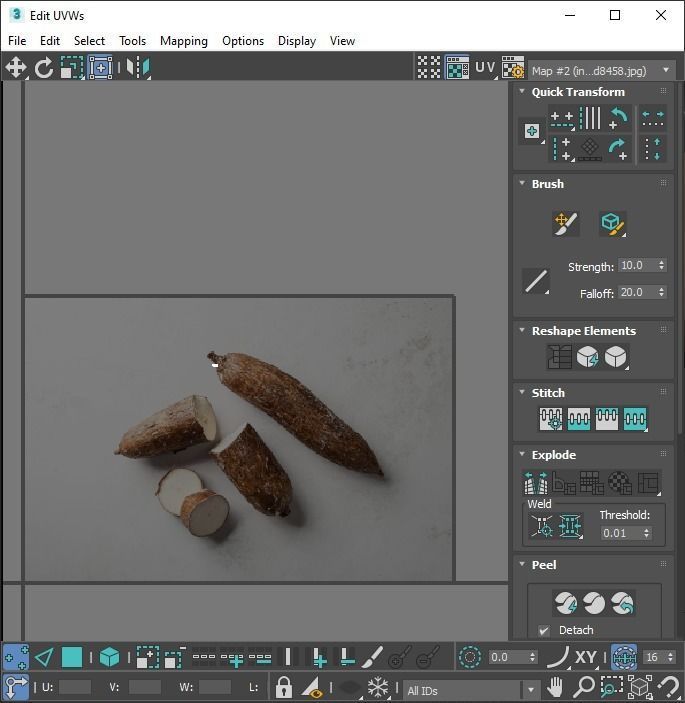 Cassava Manioc 3D model_22