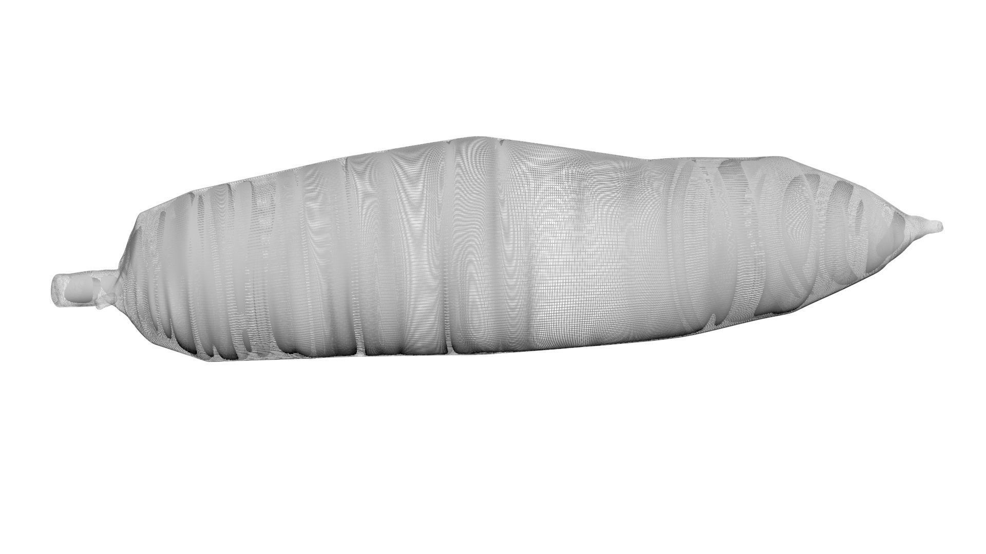 Cassava Manioc 3D model_13
