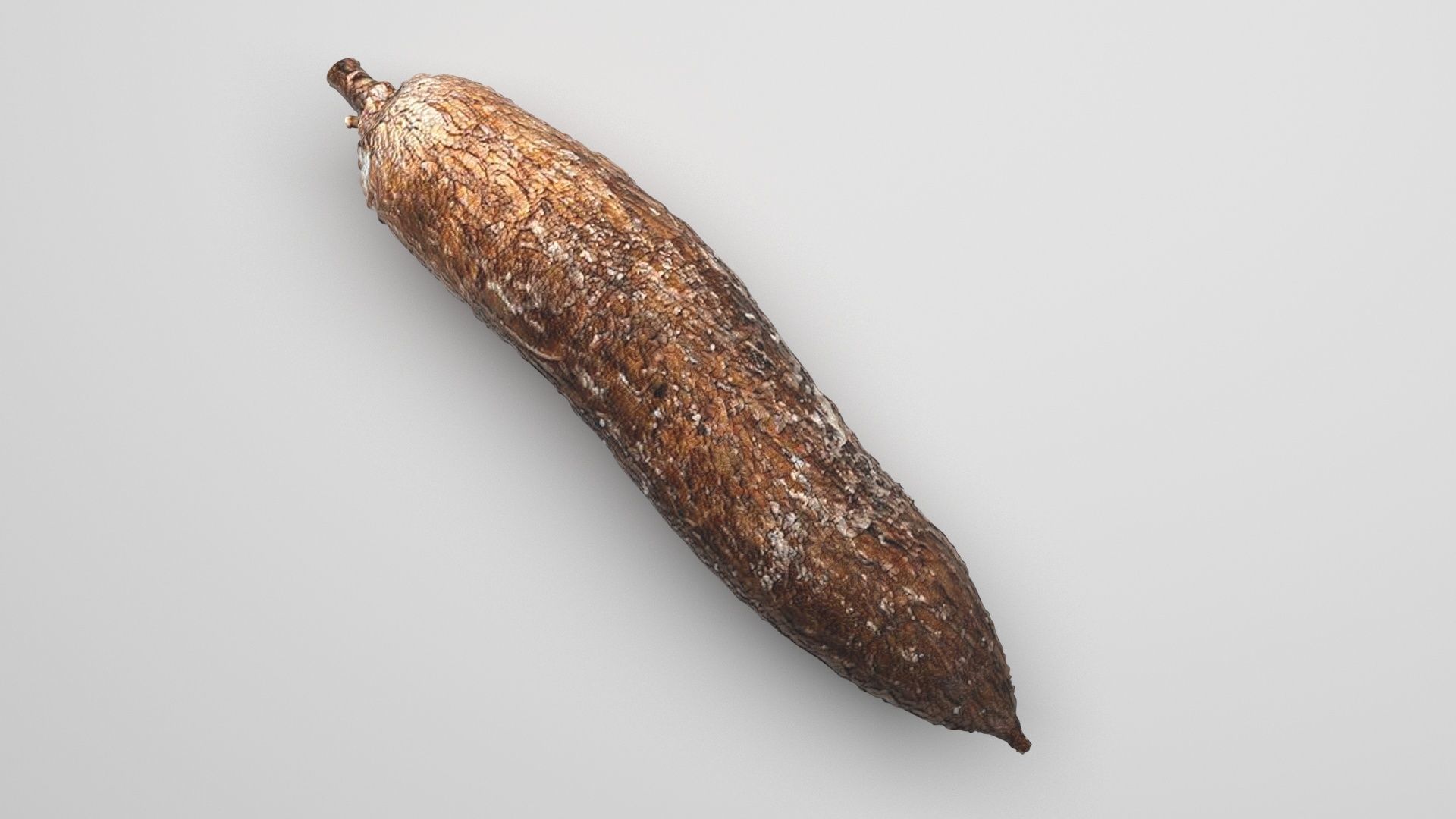 Cassava Manioc 3D model_1