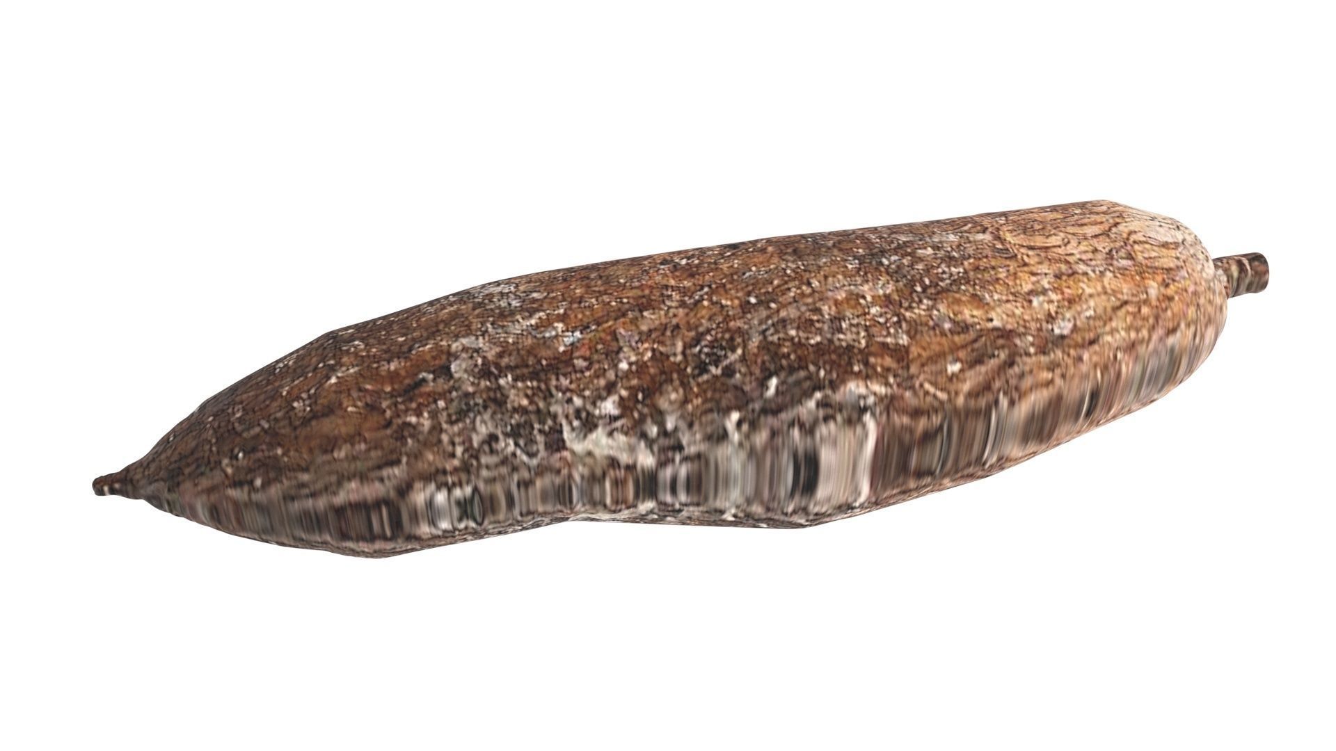 Cassava Manioc 3D model_9