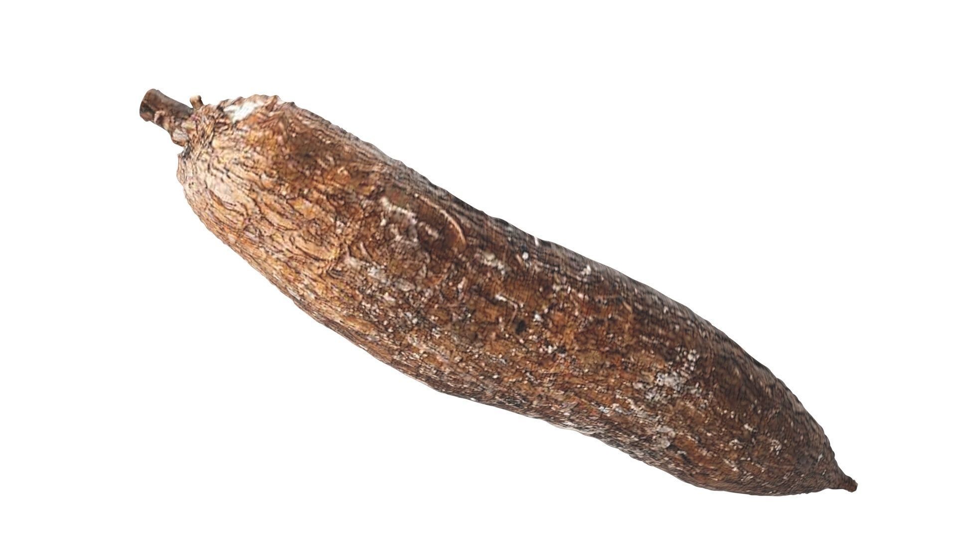 Cassava Manioc 3D model_11