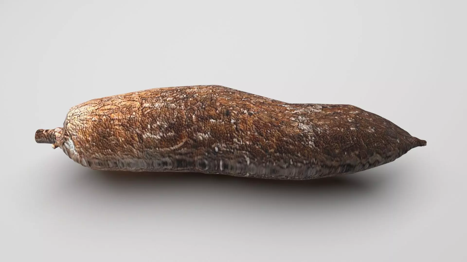 Cassava Manioc 3D model_0