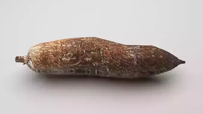 Cassava Manioc 3D model