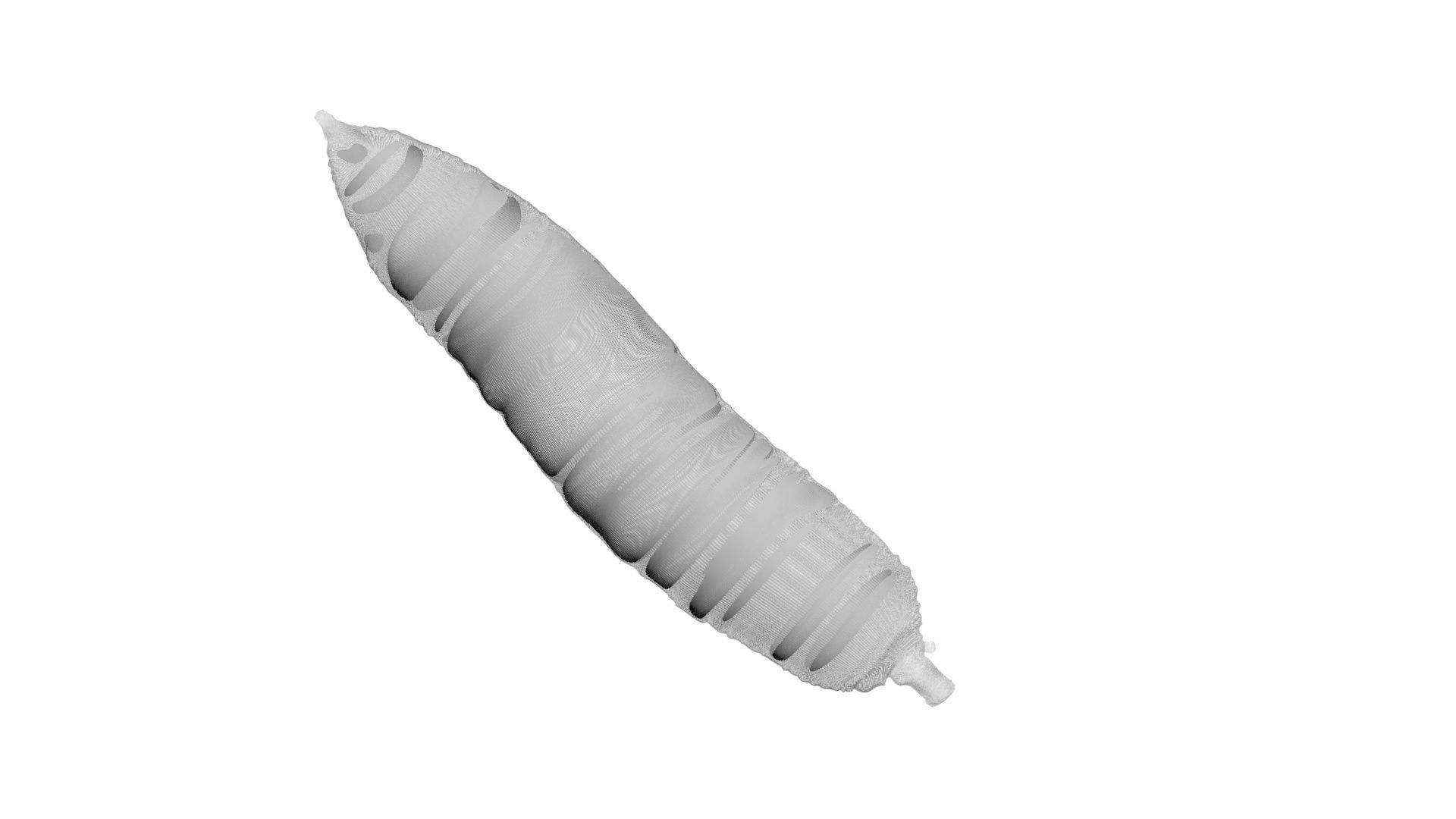 Cassava Manioc 3D model_16