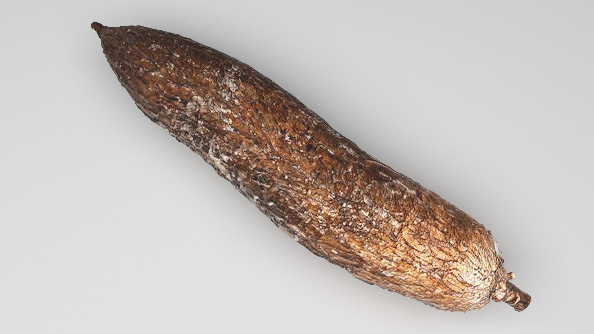 Cassava Manioc 3D model_3