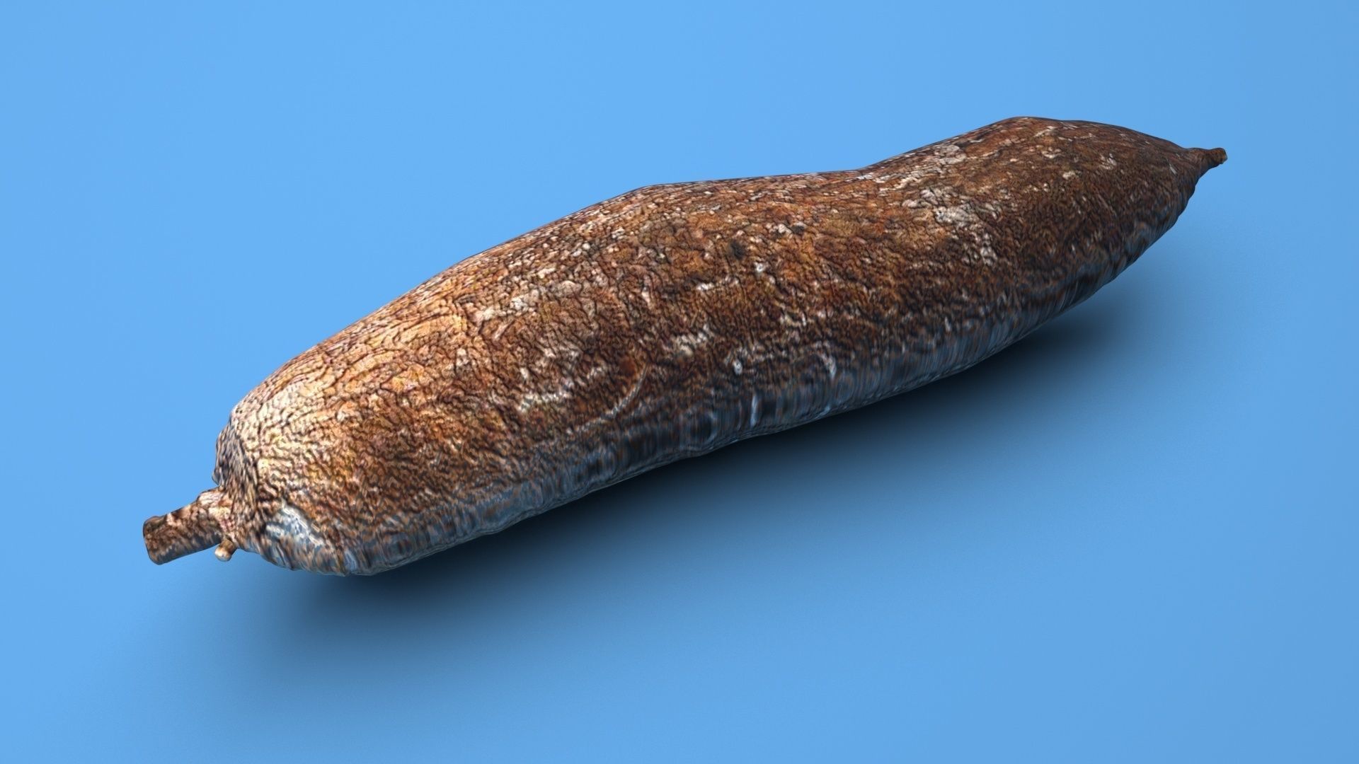 Cassava Manioc 3D model_5