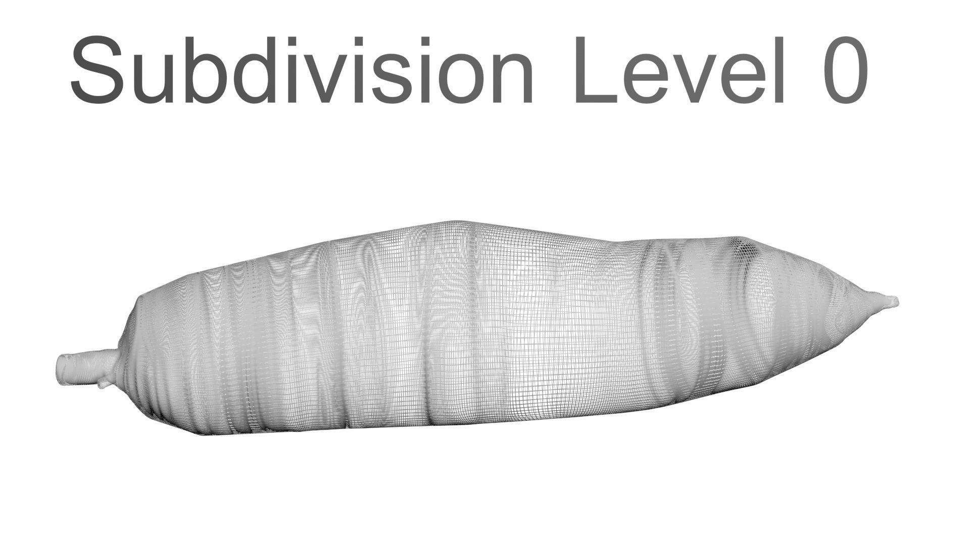 Cassava Manioc 3D model_20