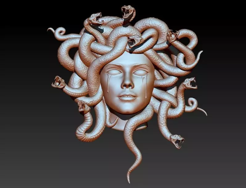 Snake Medusa 3D print model_0