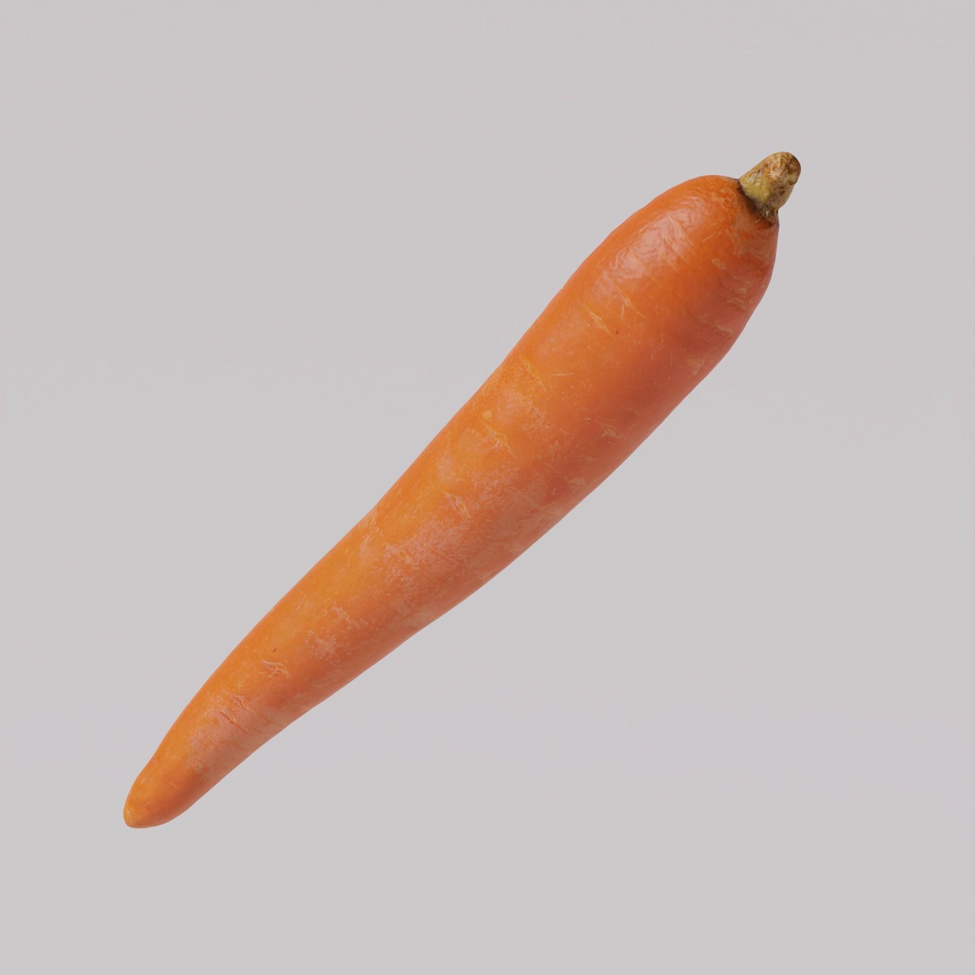 Carrot  3D model_1