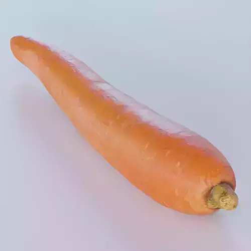 Carrot 