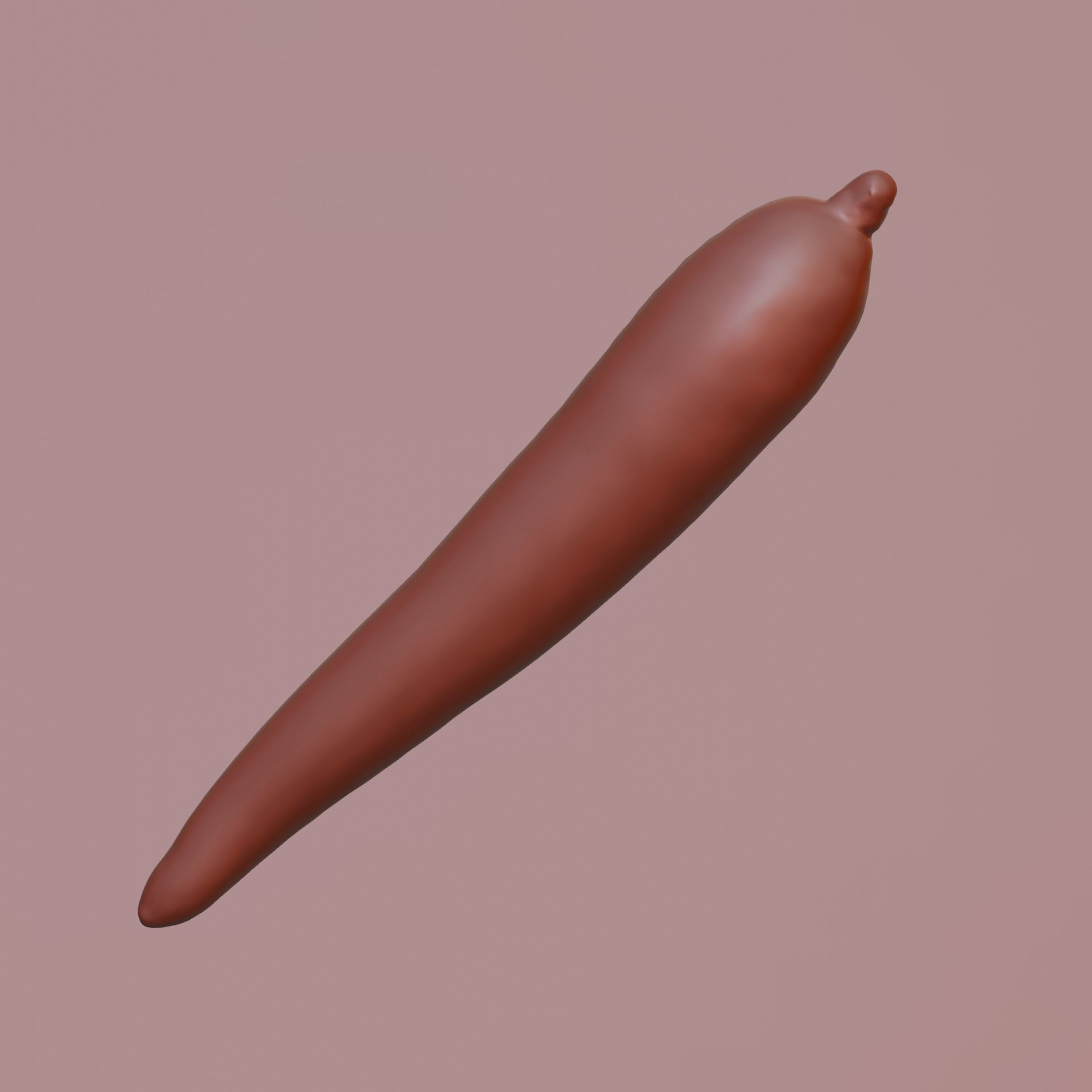 Carrot  3D model_2