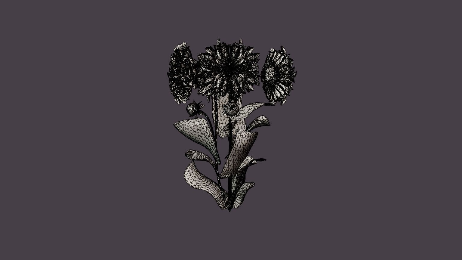 Cafe au Lait Rose Low-poly 3D model_5