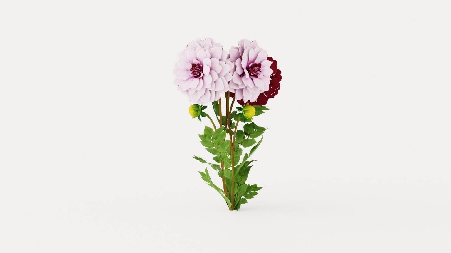 Creme de Cassis Low-poly 3D model_1