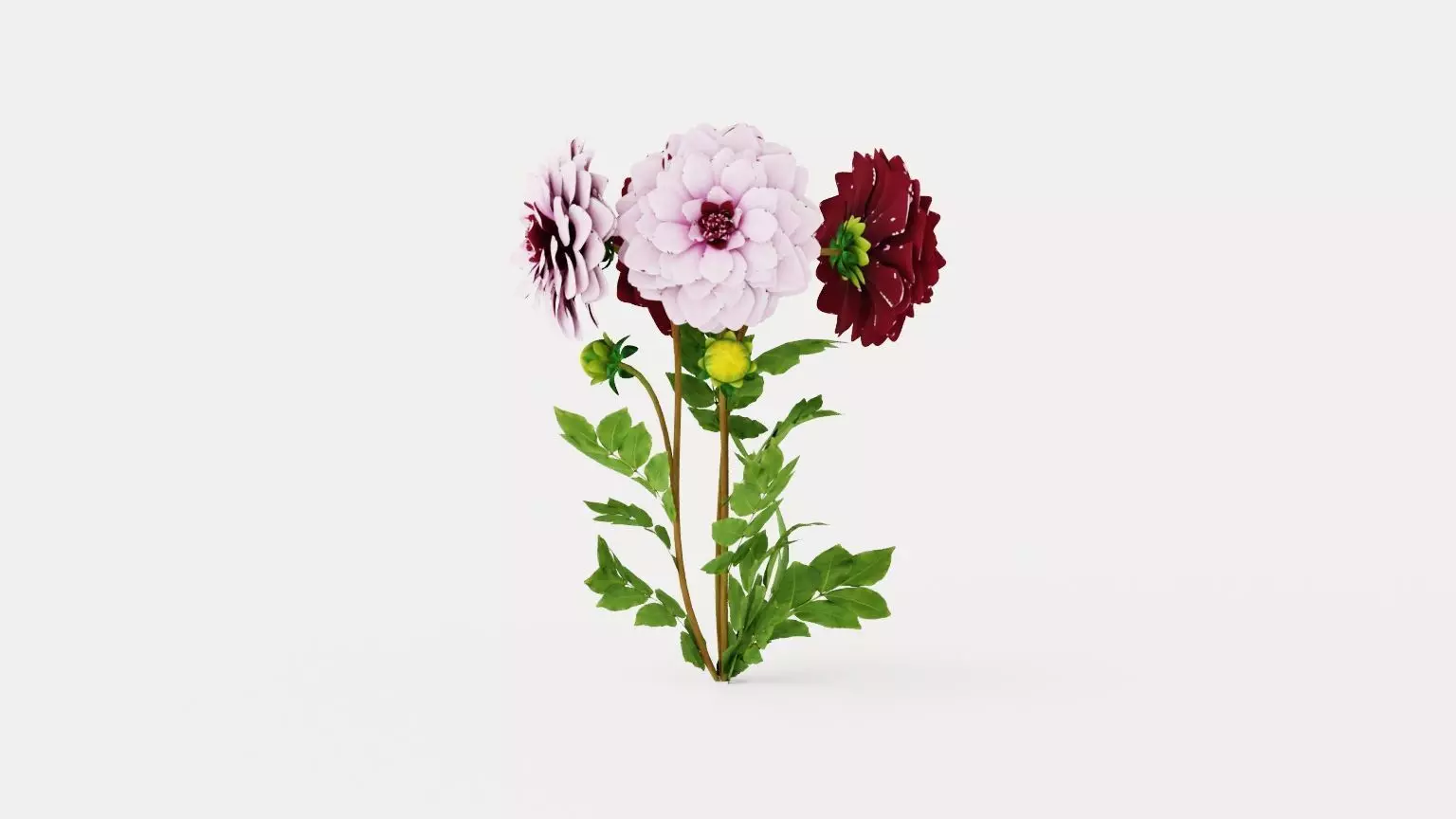 Creme de Cassis Low-poly 3D model_0