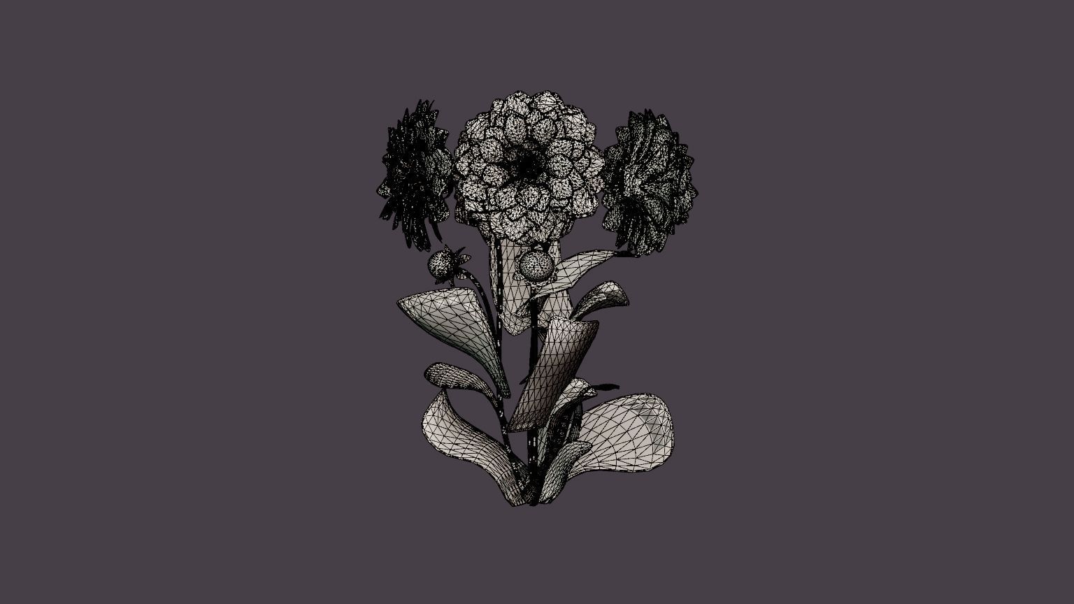 Creme de Cassis Low-poly 3D model_5