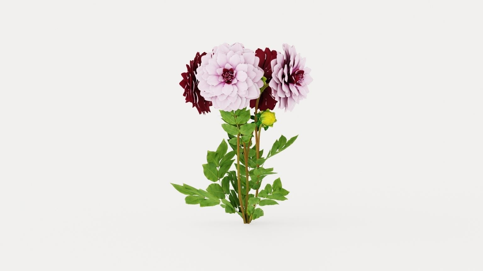 Creme de Cassis Low-poly 3D model_3