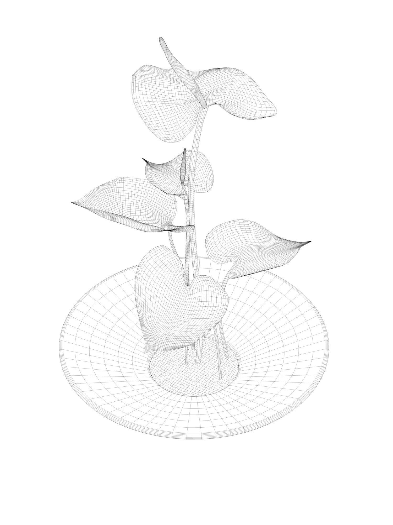 Anthurium Flower Tray 3D model_4