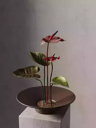 Anthurium Flower Tray  3D model