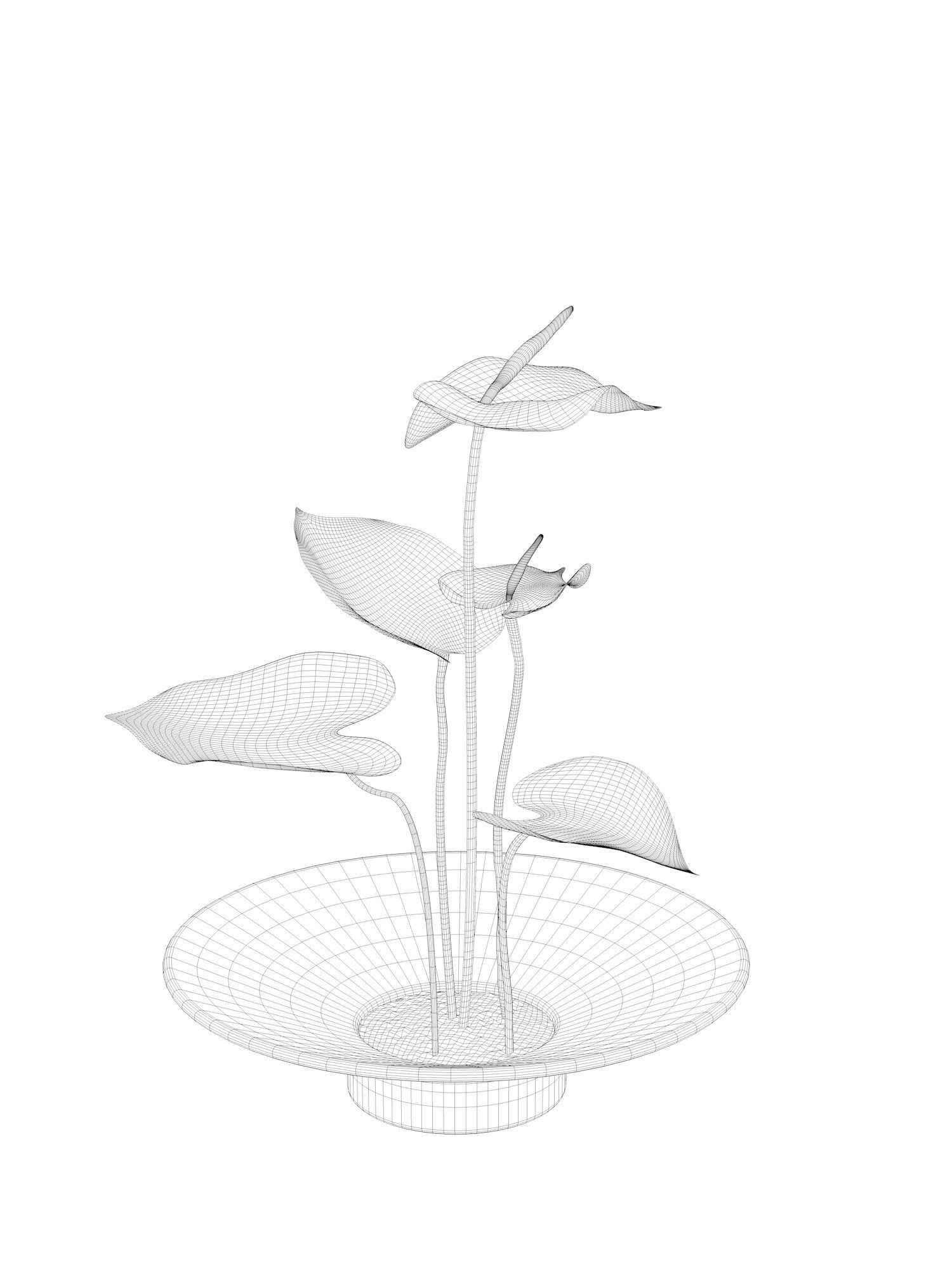 Anthurium Flower Tray 3D model_3