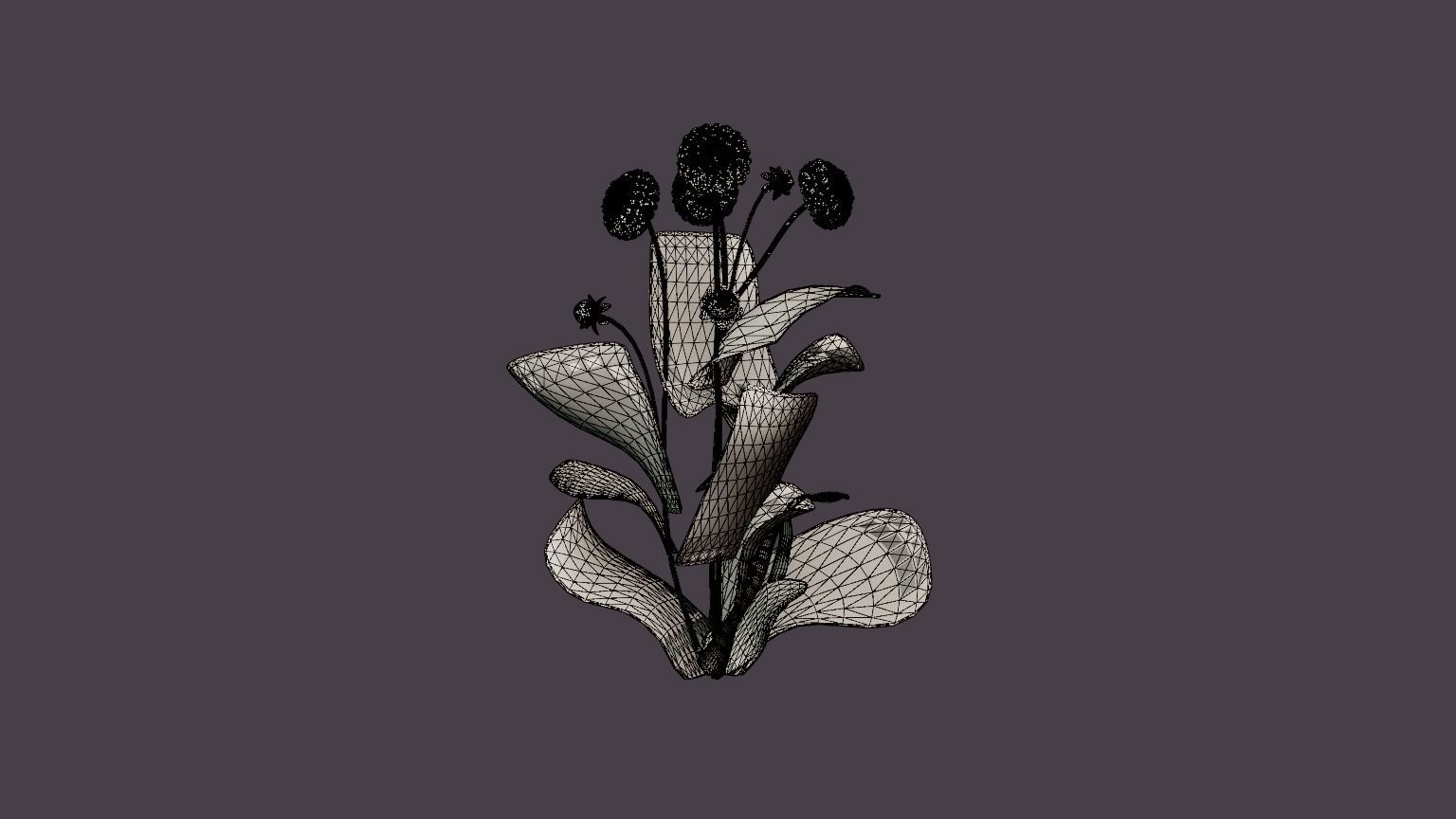 Natal Low-poly 3D model_5