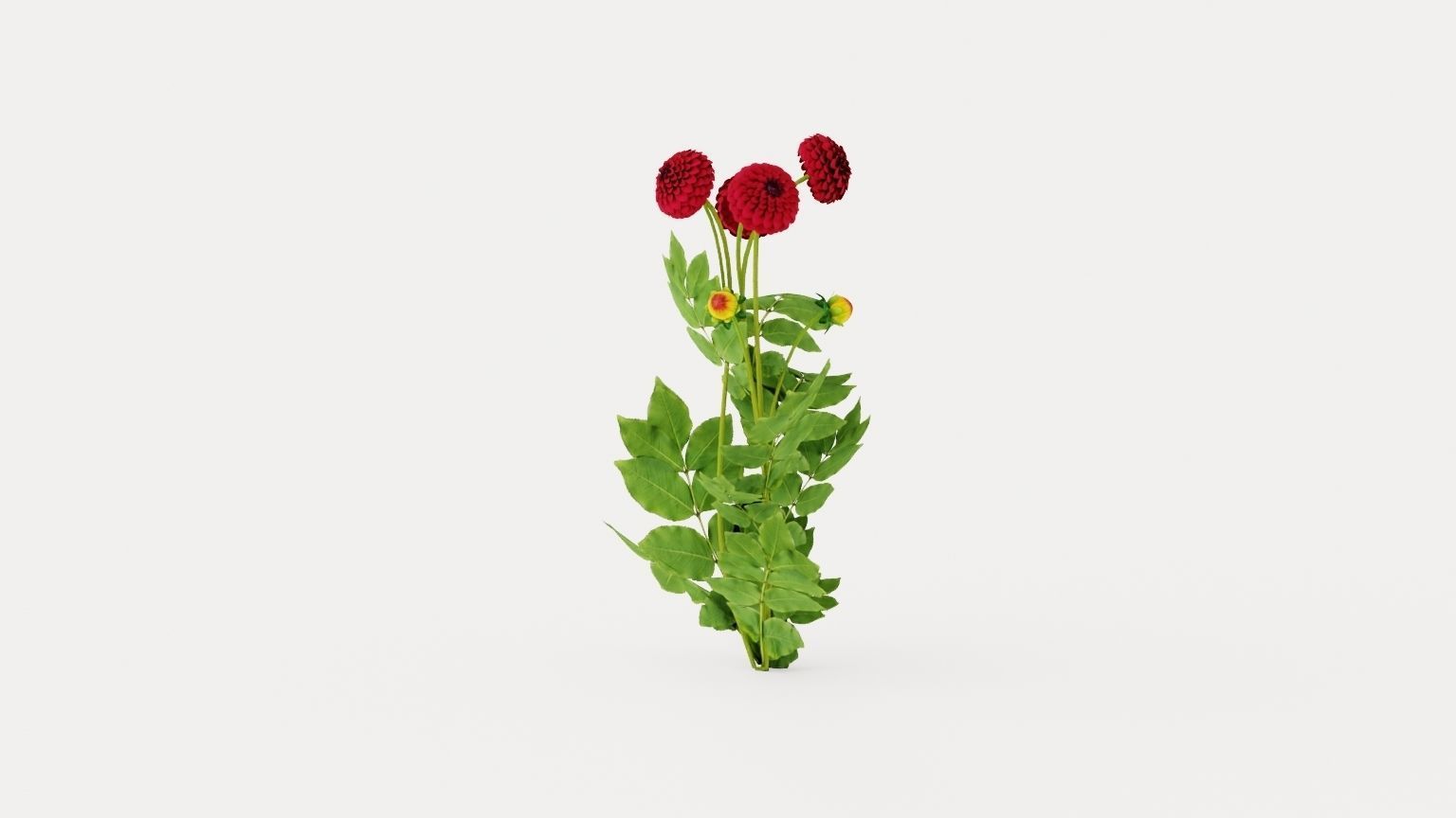 Natal Low-poly 3D model_2