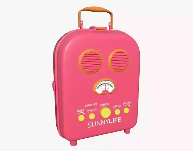 Cartoon Style Stylized Radio Sunnylife Radio Pink Edition