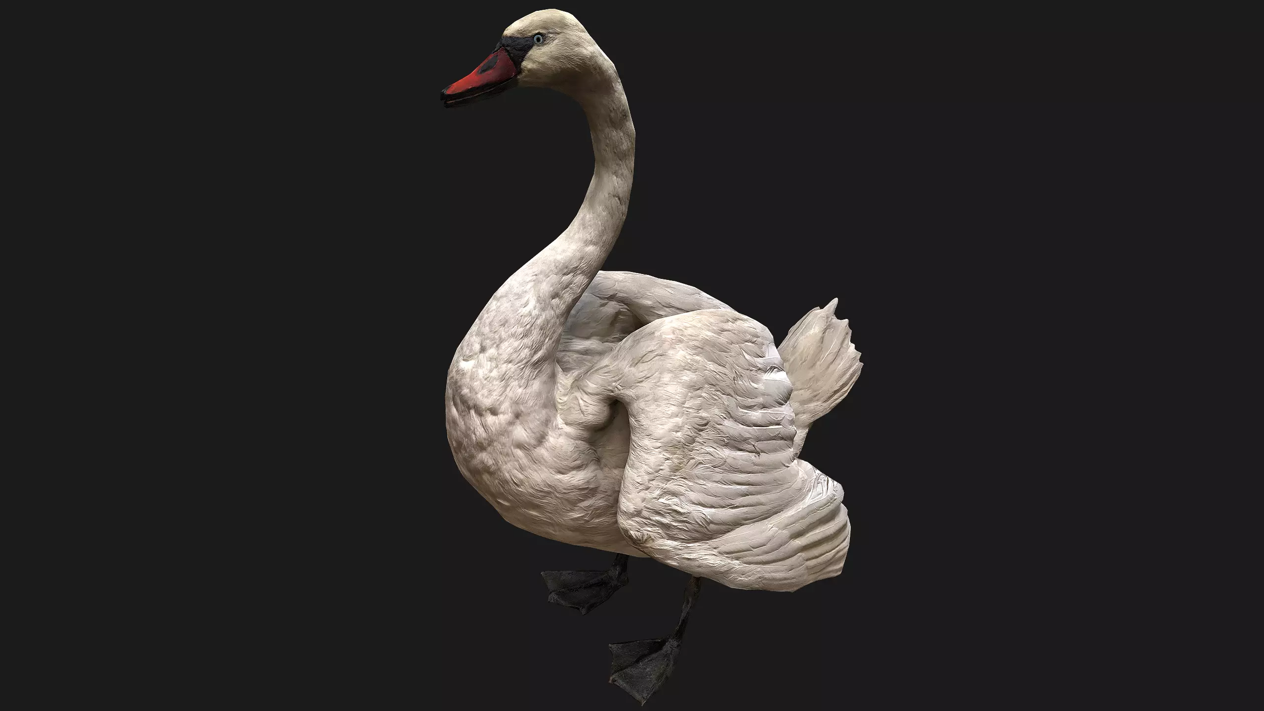 Swan Bird Low-poly 3D model_0