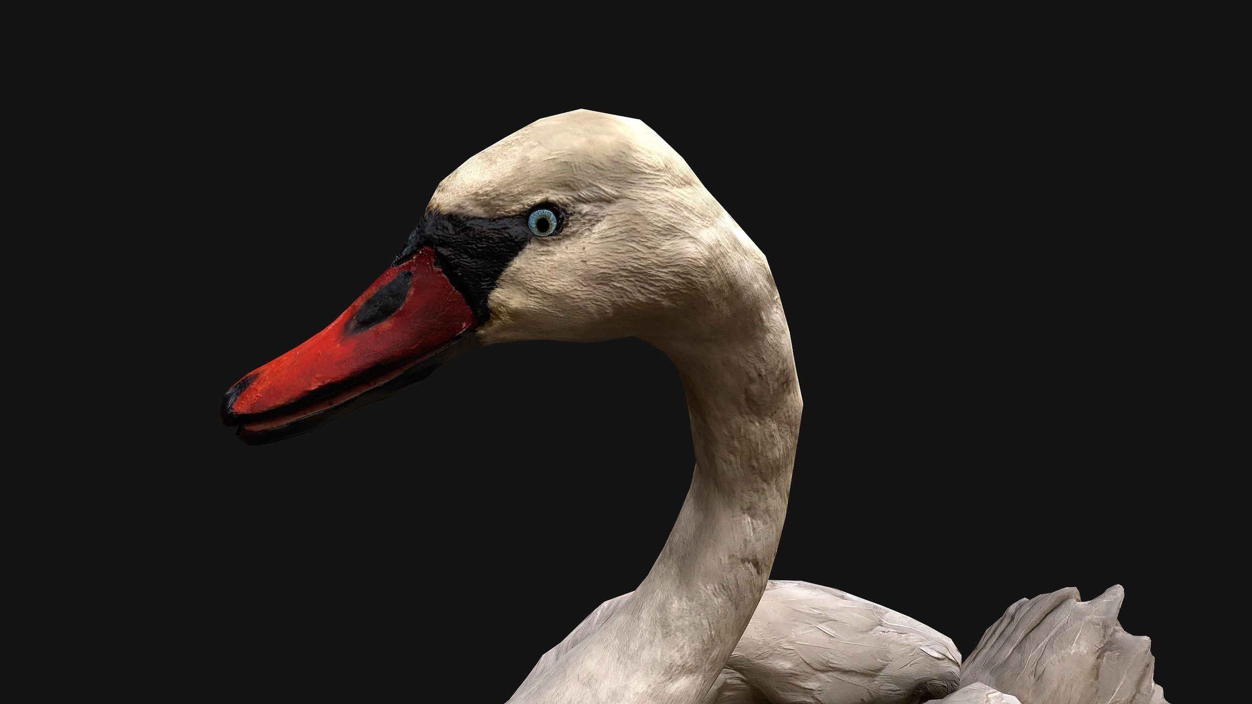Swan Bird Low-poly 3D model_13
