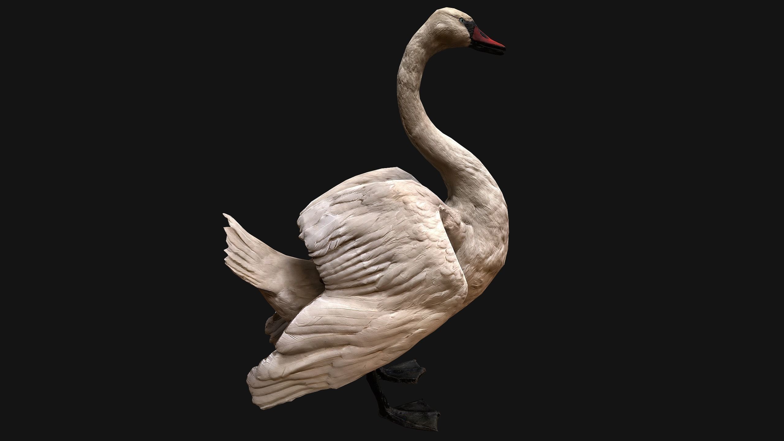 Swan Bird Low-poly 3D model_10