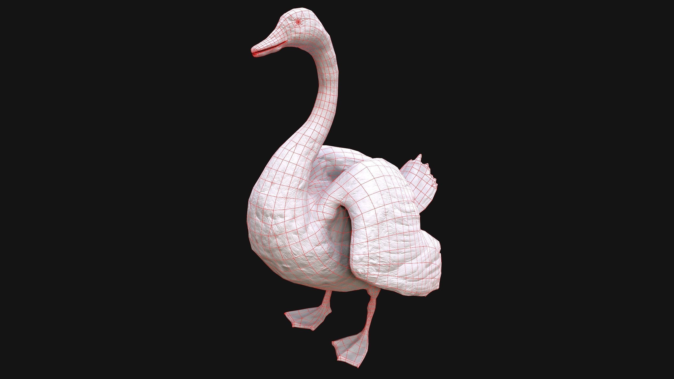 Swan Bird Low-poly 3D model_19
