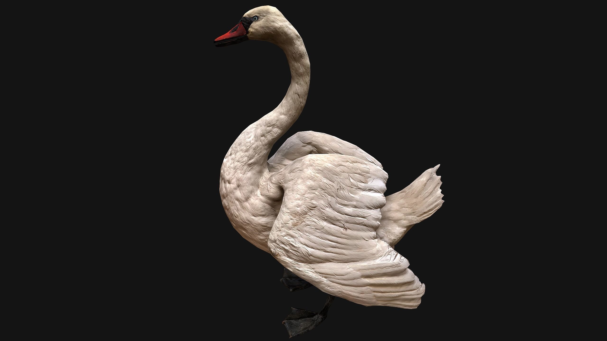 Swan Bird Low-poly 3D model_4