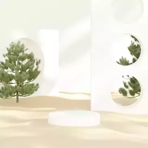 Minimal podium for product presentation