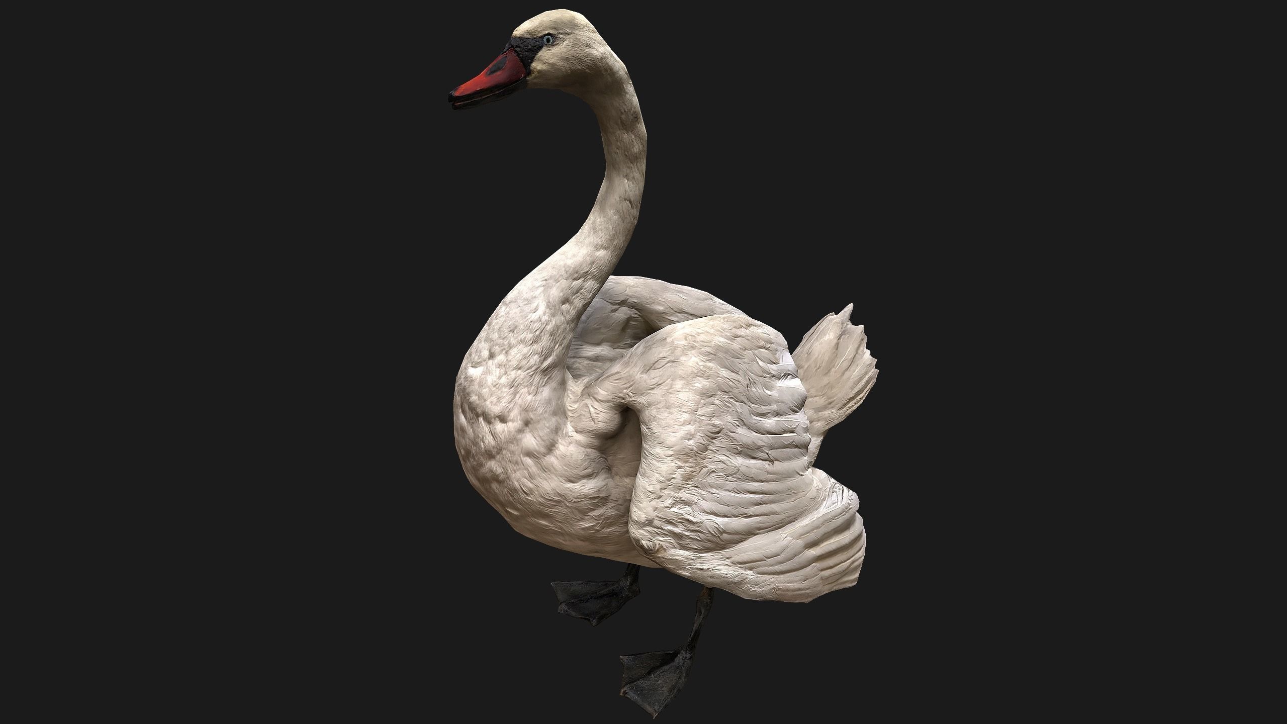Swan and Ducks Birds Pack Low-poly 3D model_3