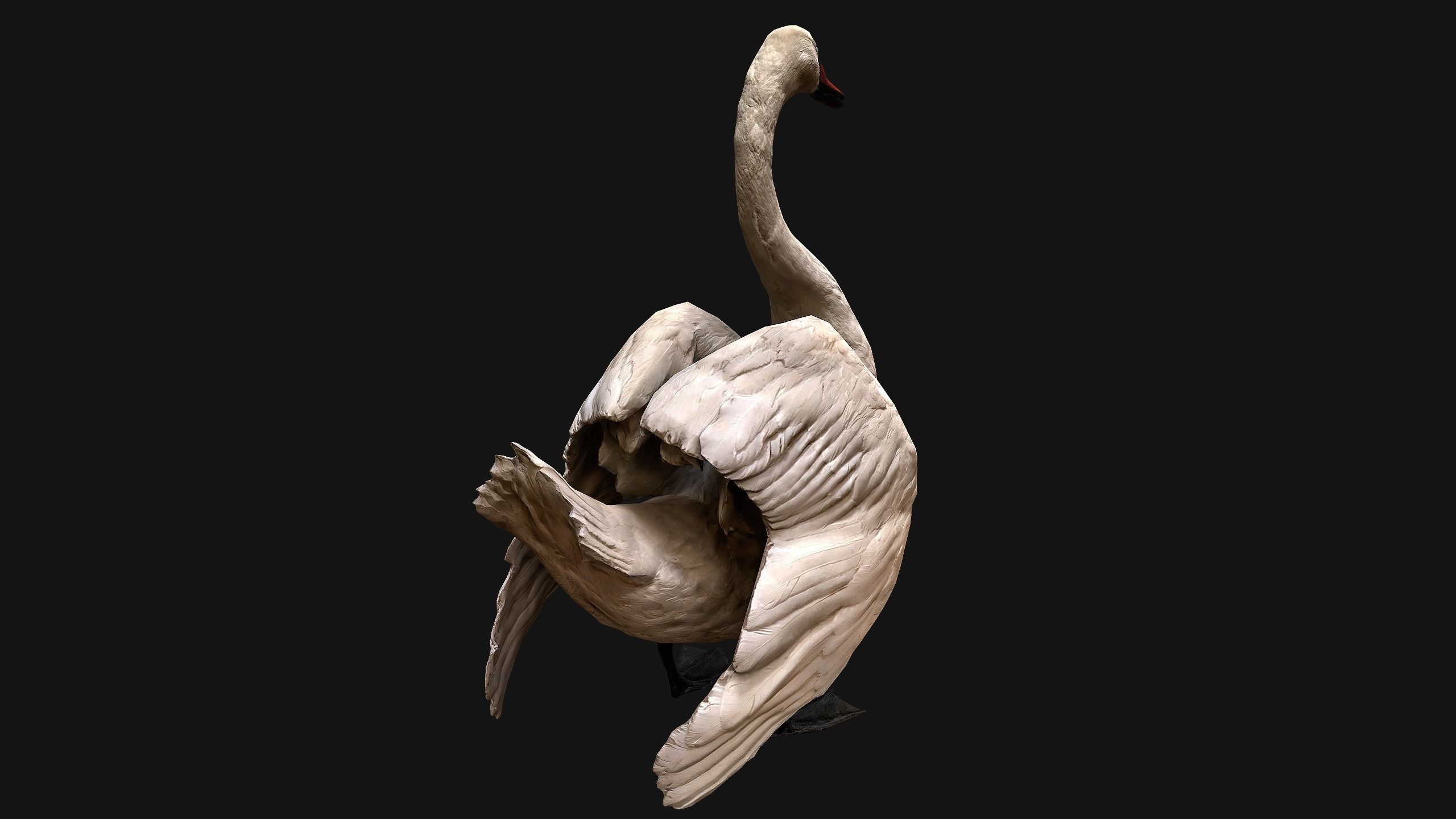 Swan and Ducks Birds Pack Low-poly 3D model_39