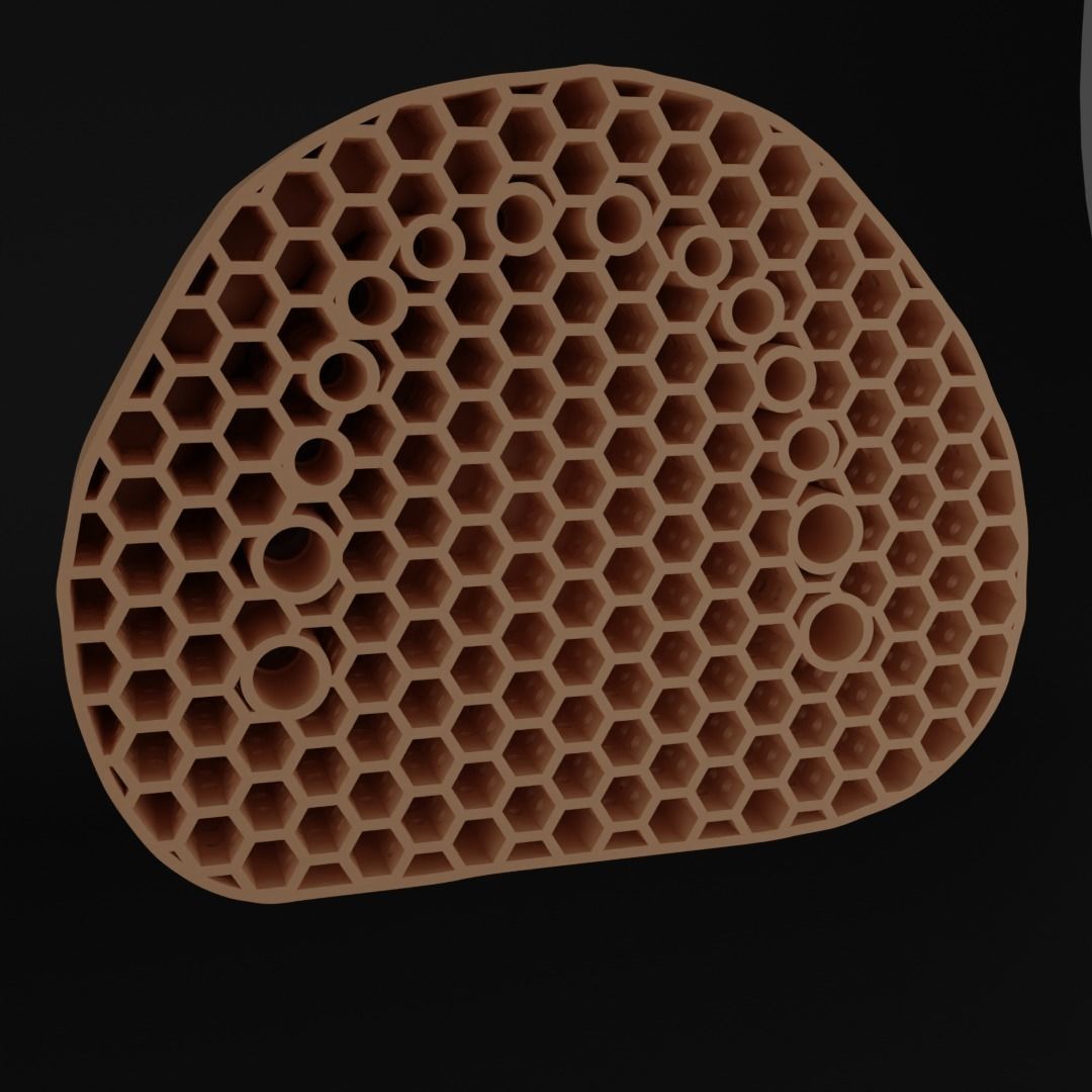 Dental models Natural teeth 3D Model Collection 3D print model_3