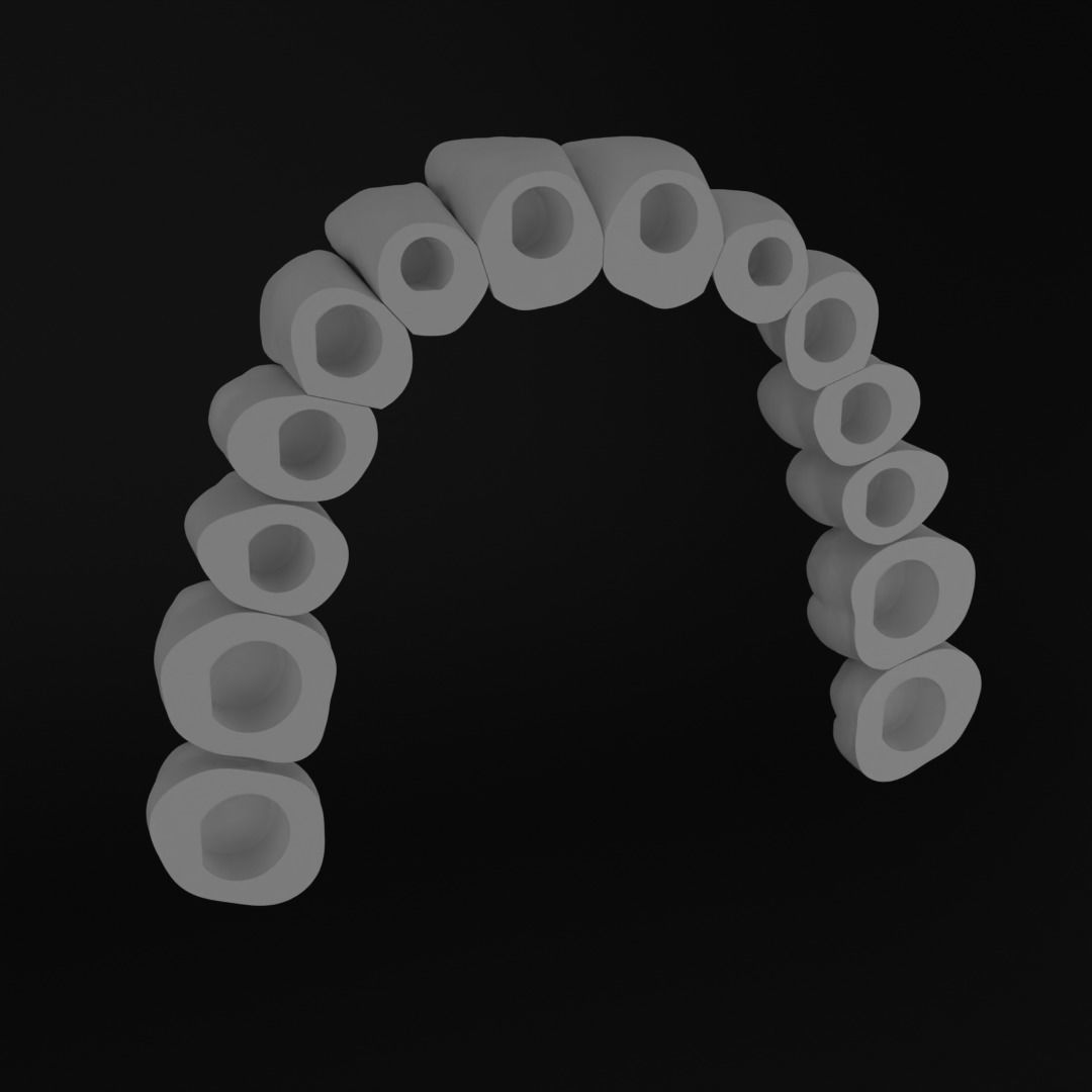 Dental models Natural teeth 3D Model Collection 3D print model_4