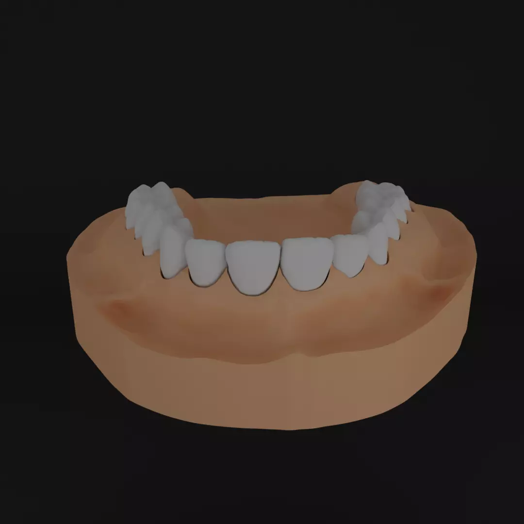 Dental models Natural teeth 3D Model Collection 3D print model_0