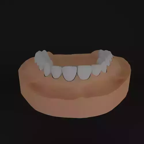 Dental models Natural teeth 3D Model Collection 3D print model