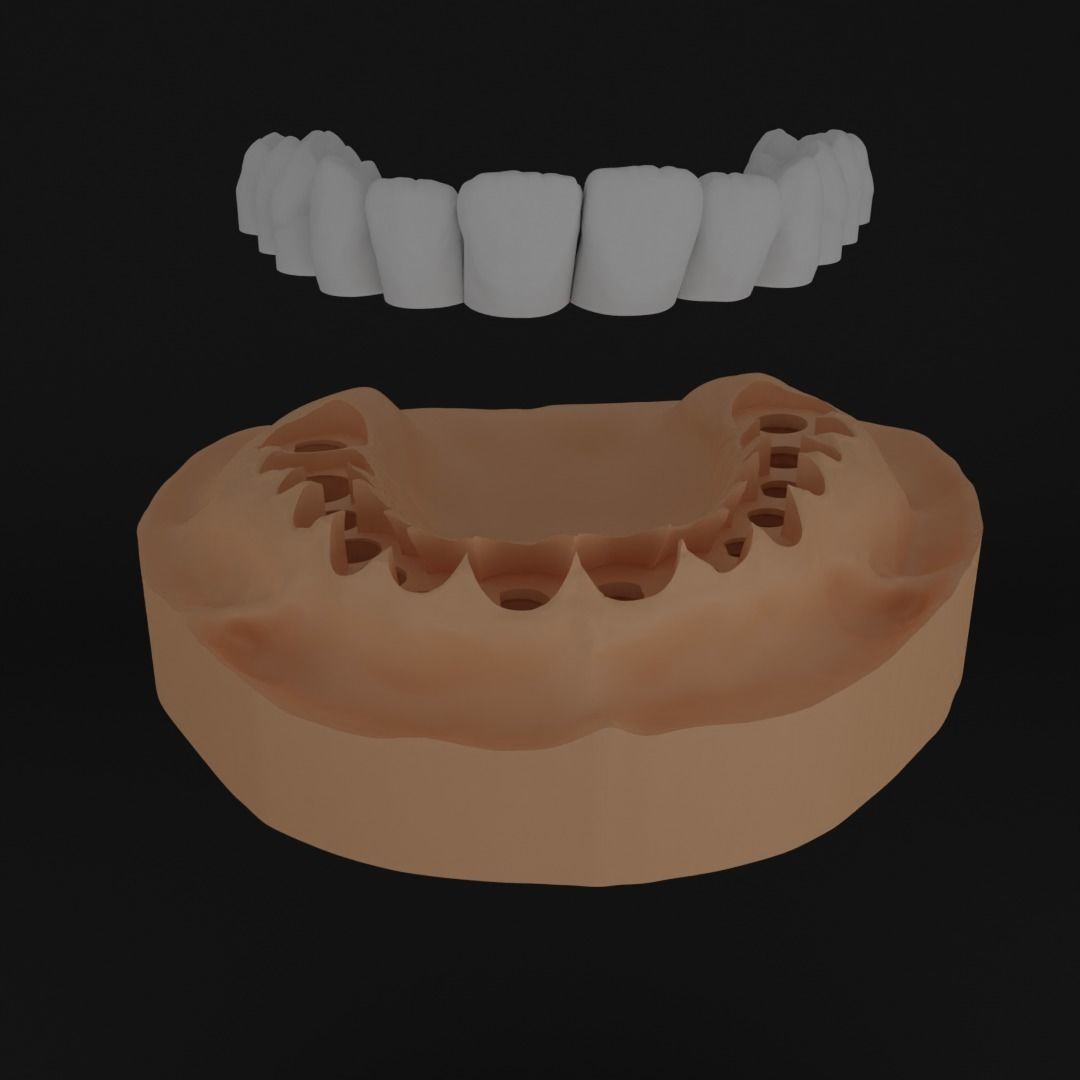 Dental models Natural teeth 3D Model Collection 3D print model_1